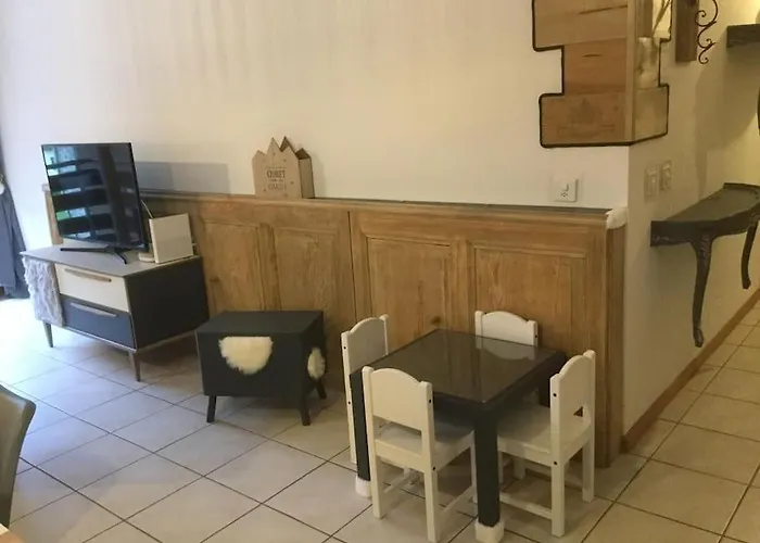 Magnifique De Montagne 公寓 *