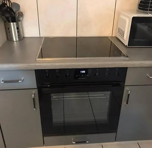 公寓 Magnifique De Montagne *